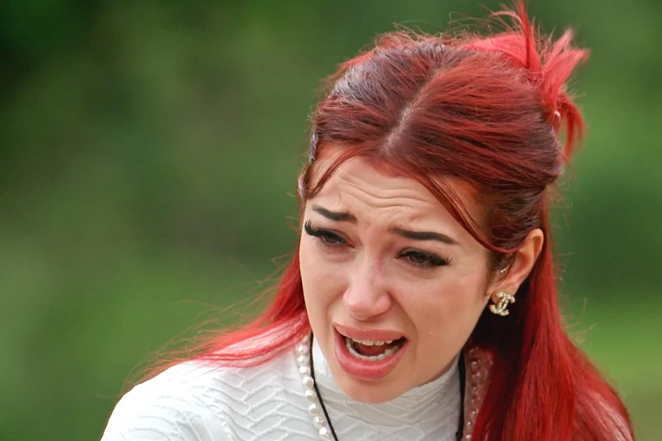 Ariel